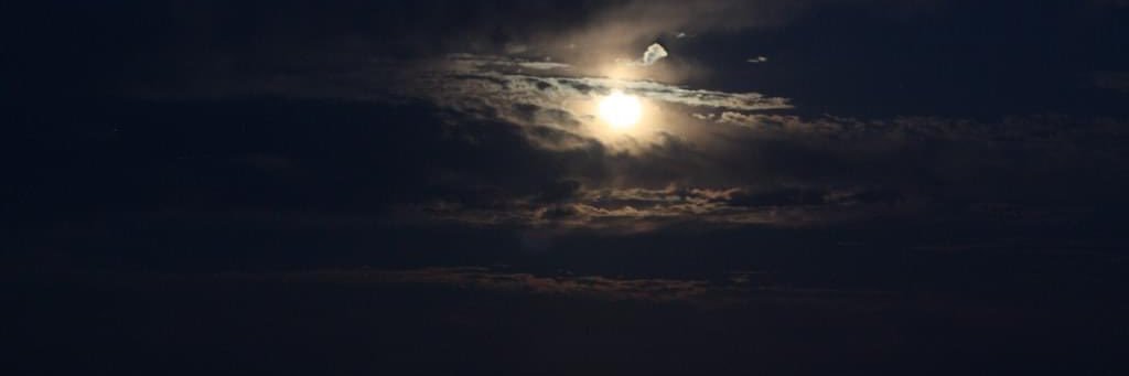 monycaestrada's profile banner image