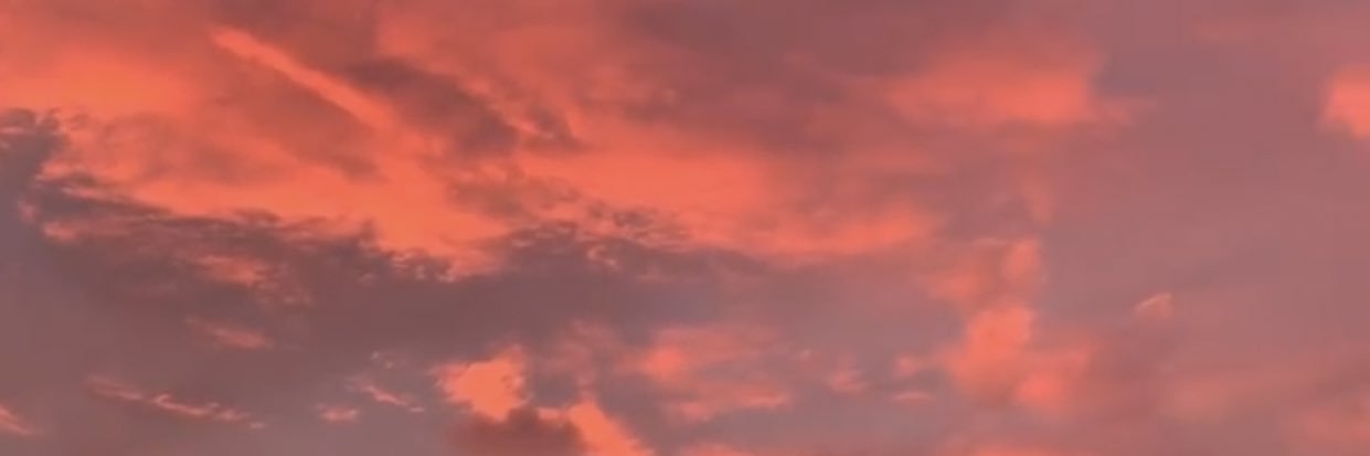 lea_stphan's profile banner image