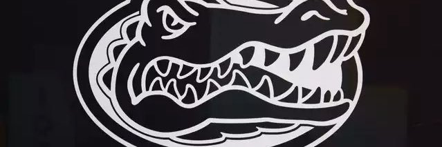 gatorbart3's profile banner image
