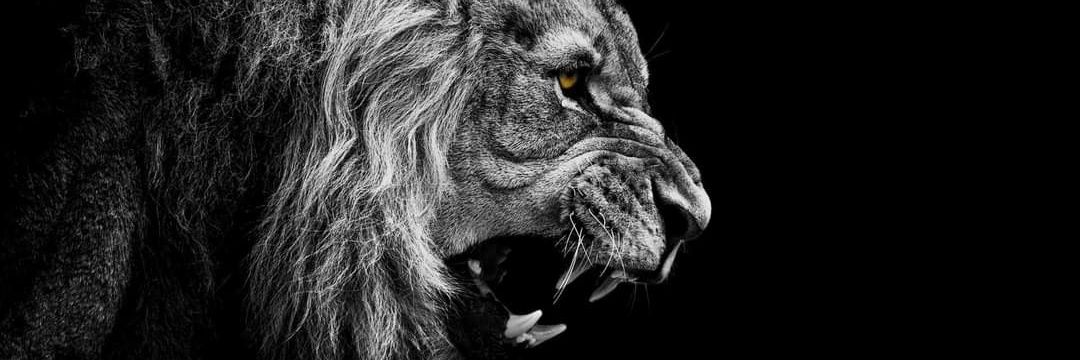 The_Better1's profile banner image