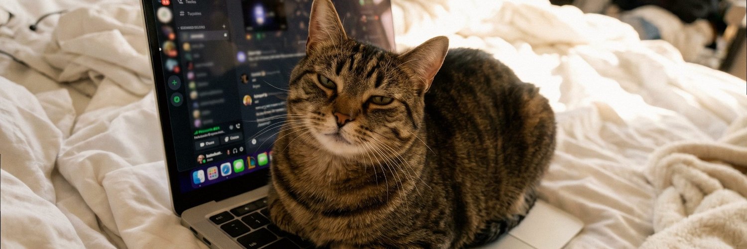 sofirain939's profile banner image