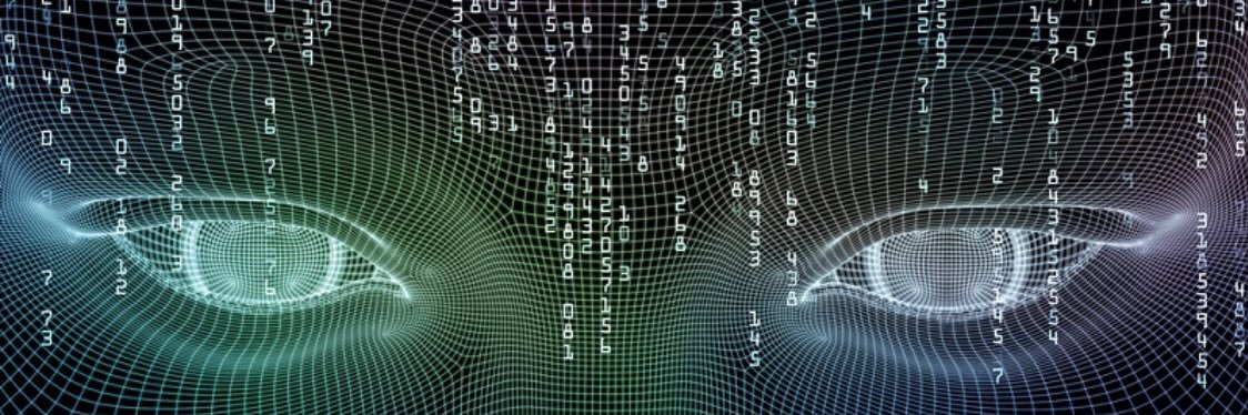 Roy Hershkovitz banner