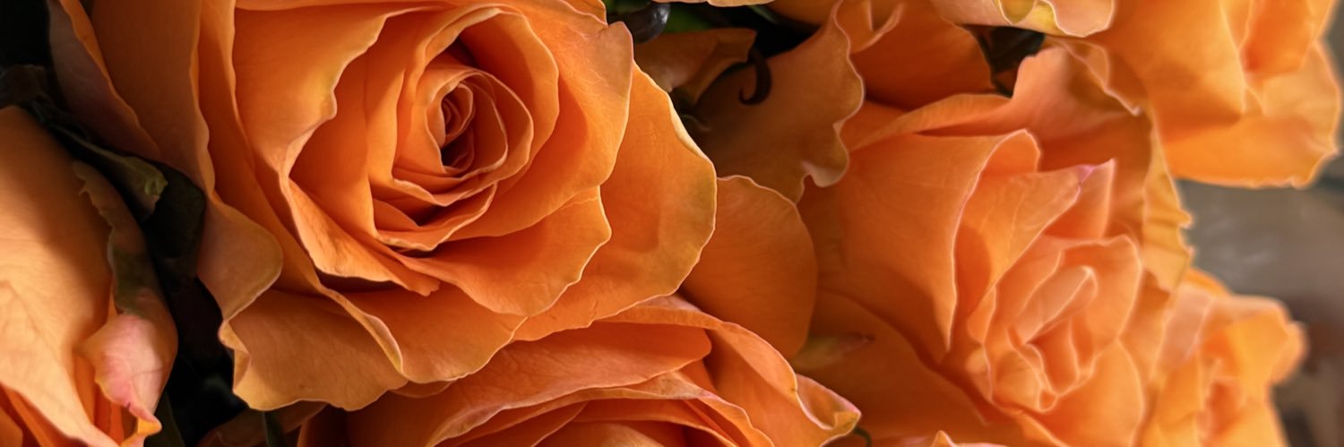 tola___'s profile banner image