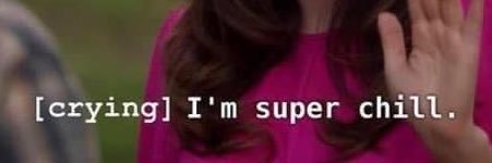 Haley banner