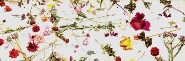 Jimmyens's profile banner image