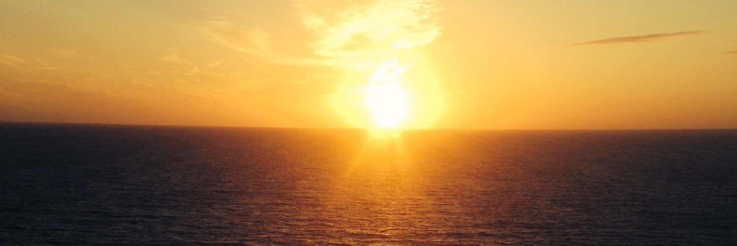WillProbert's profile banner image