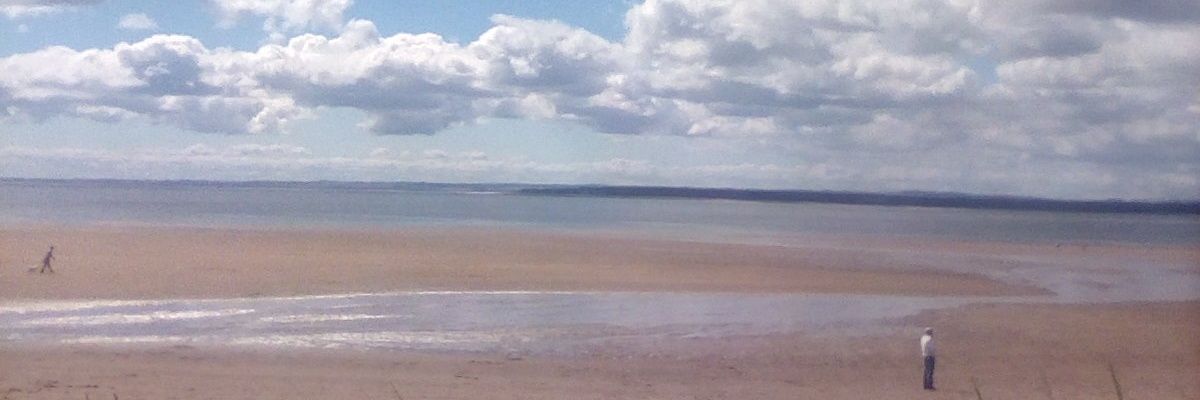 ErikZoha's profile banner image