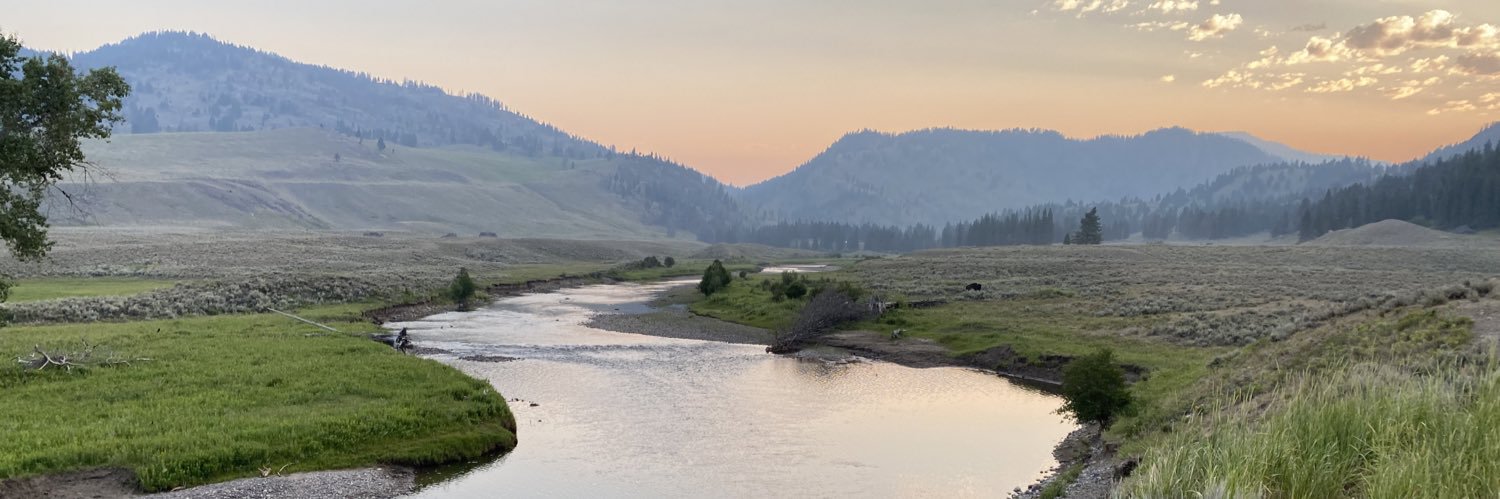 RobJesselson's profile banner image