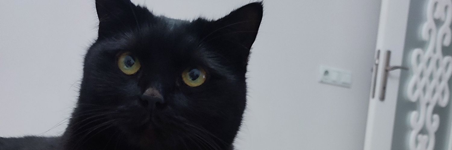 odunsobasii's profile banner image