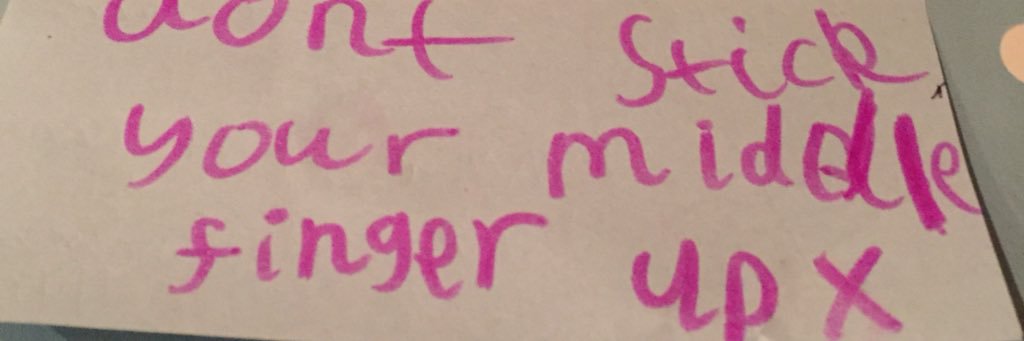 The Schnauzer’s Mouser banner