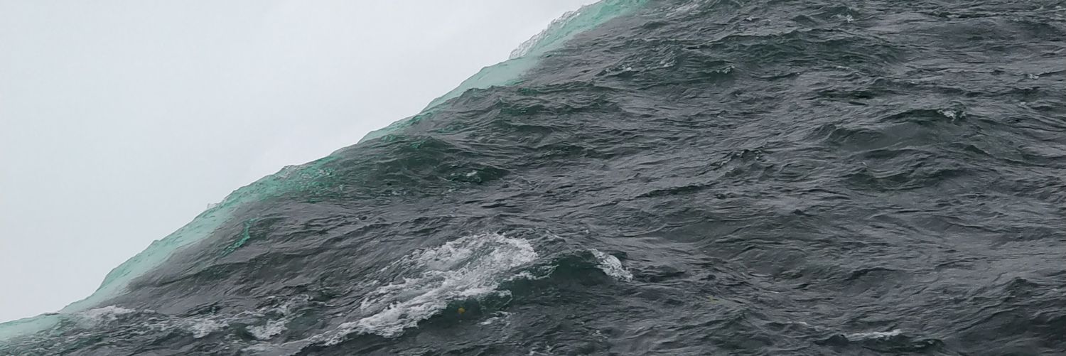 EHellqvi's profile banner image