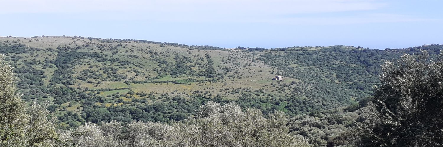 Birdwatch_Tolfa's profile banner image