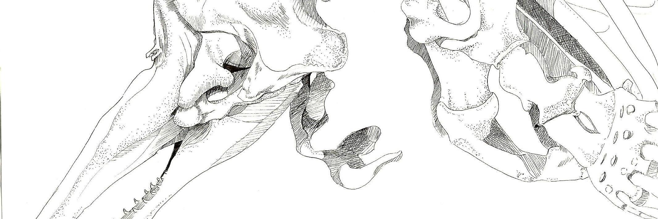Hellawdye's profile banner image