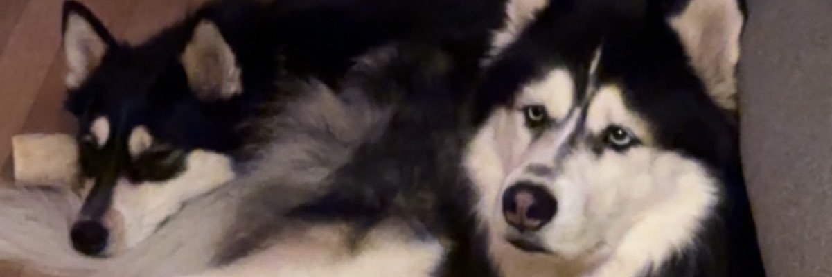 chriswitcher01's profile banner image