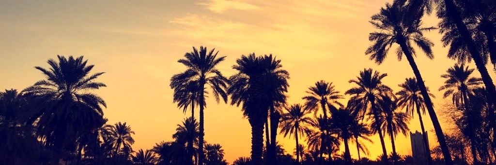 يوسف بن صالح الشلهوب banner