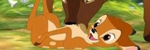 larissays16's profile banner image