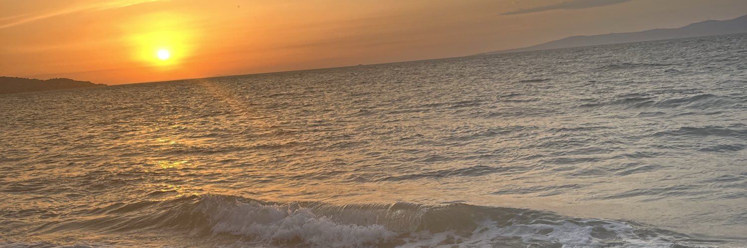 eeesdemir's profile banner image