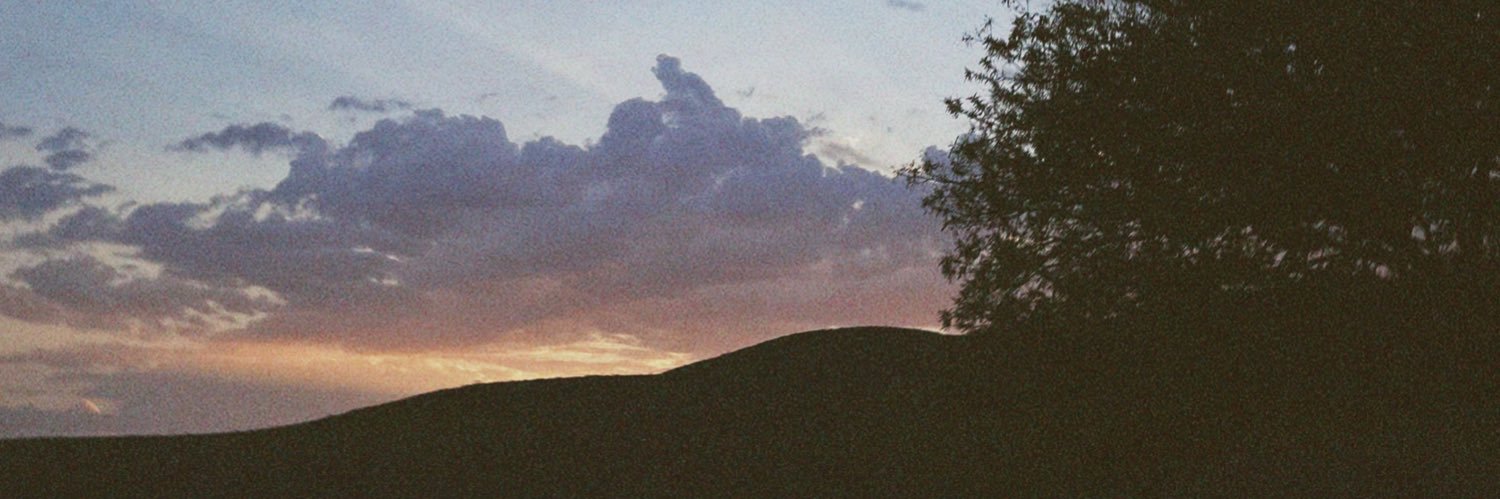 Diana ♡ banner