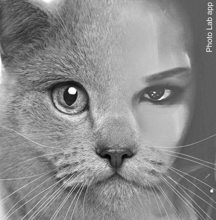 1003_lorena's profile banner image