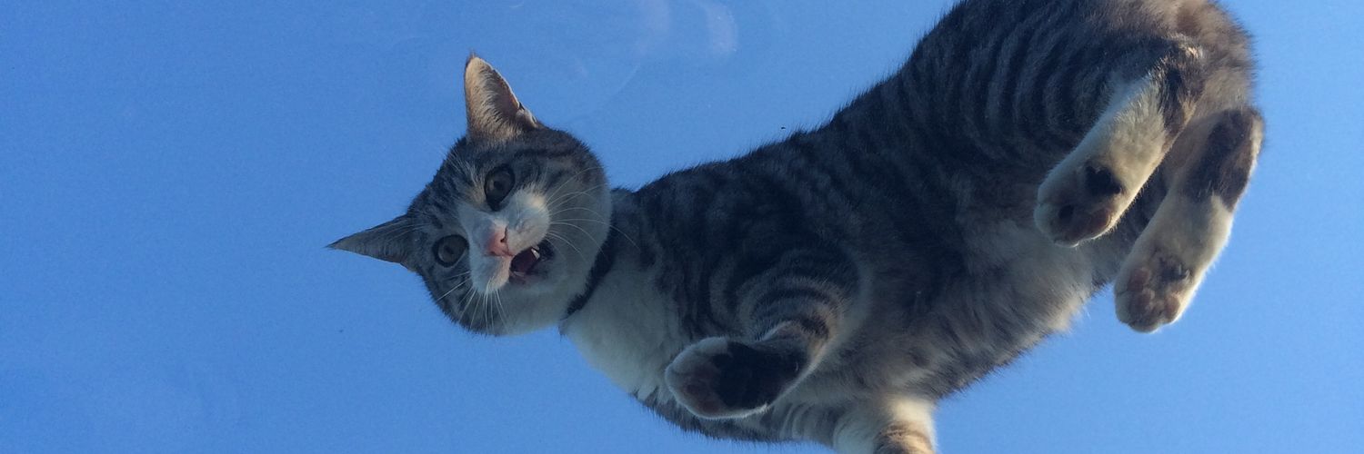 ninija_'s profile banner image