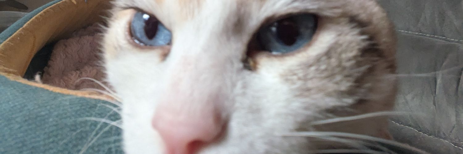 Allano 🌈 banner