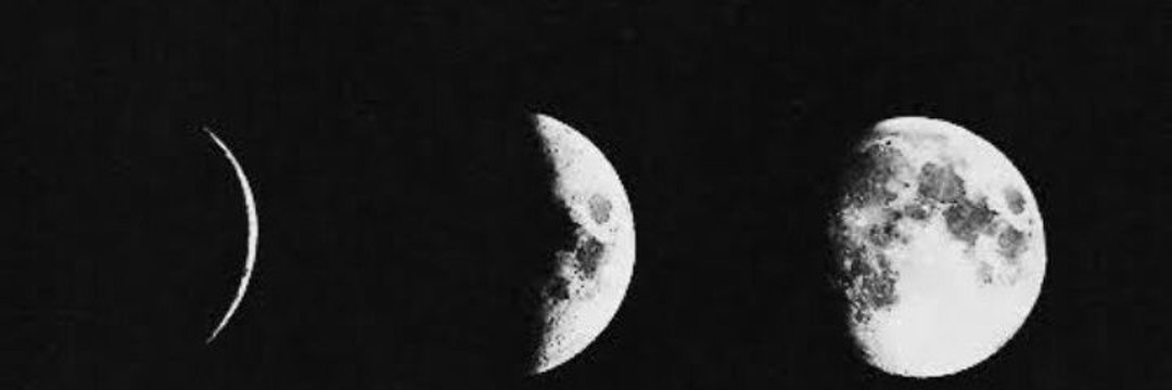 carolp021's profile banner image