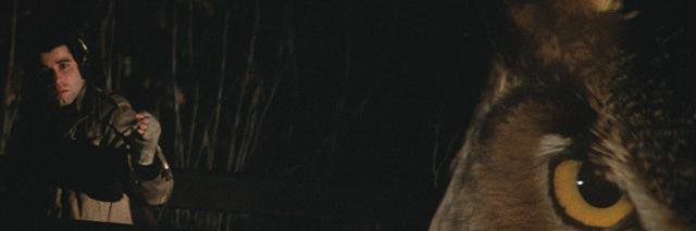 Chris Hewitt's banner