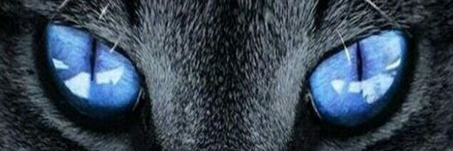 gafiyung's profile banner image