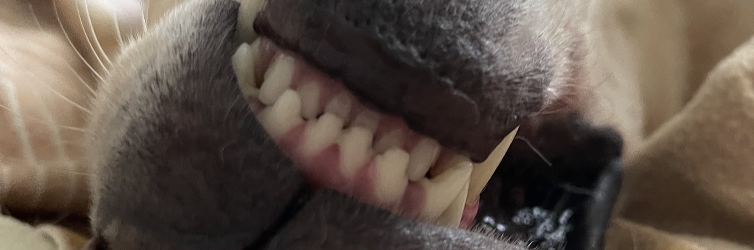 aubschason's profile banner image