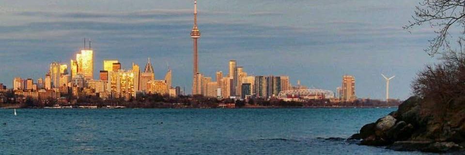 bossio_global's profile banner image