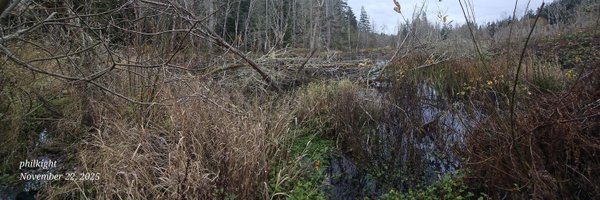 philkight1 Profile Banner