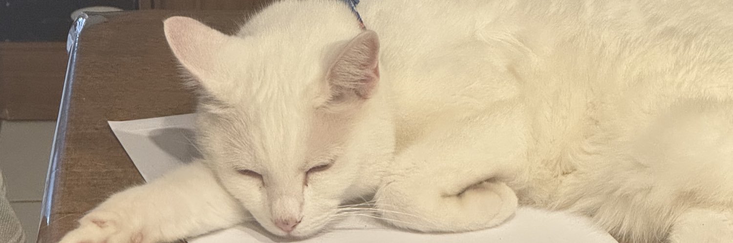 caseydoingart's profile banner image