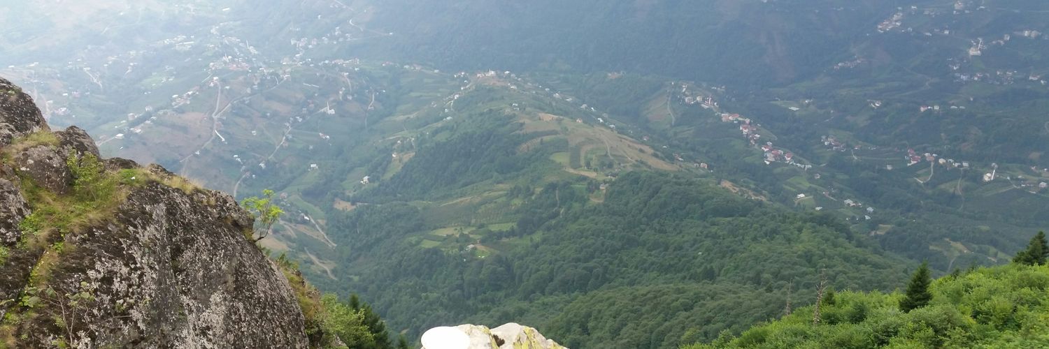 fm59993's profile banner image