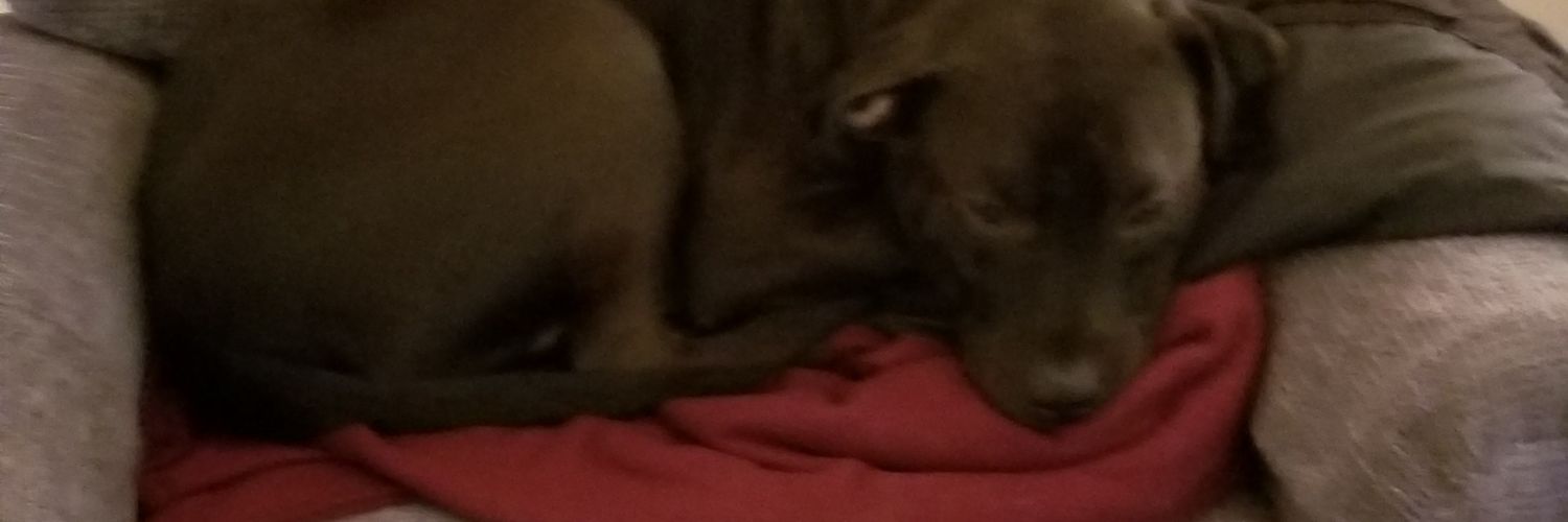 The Daily BaileyOTR banner