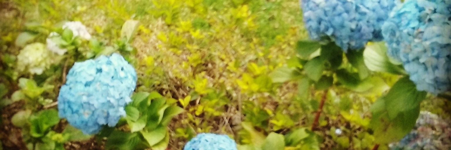 JenniLaussel's profile banner image