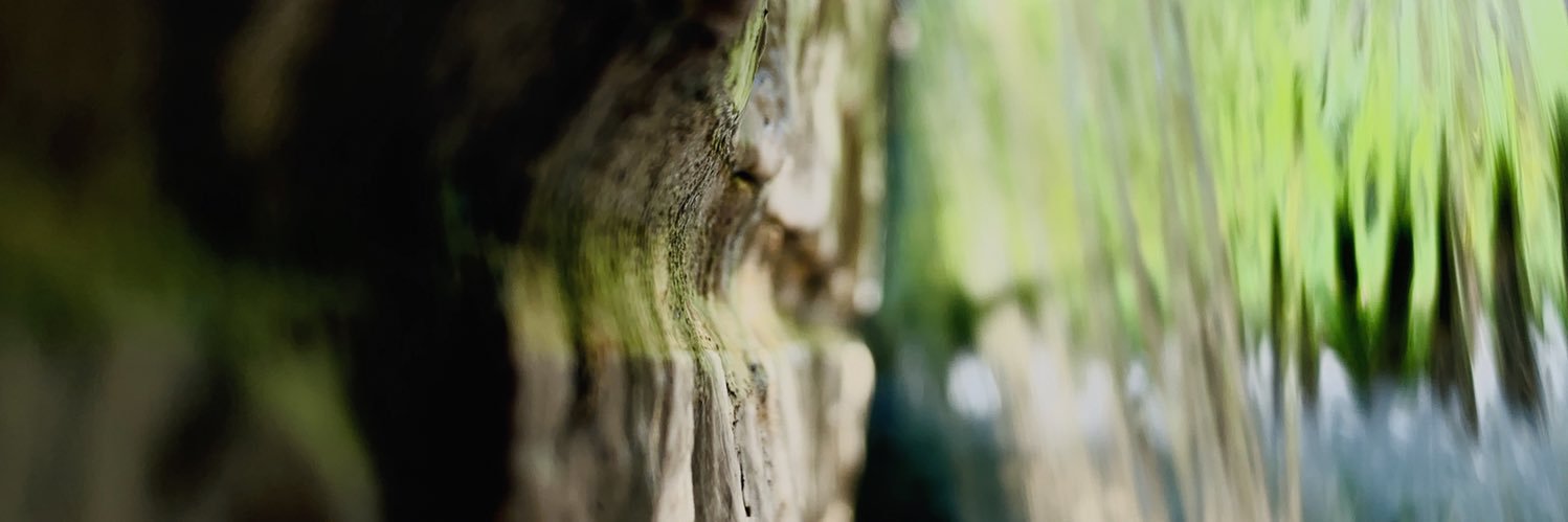 jWoodsie01's profile banner image