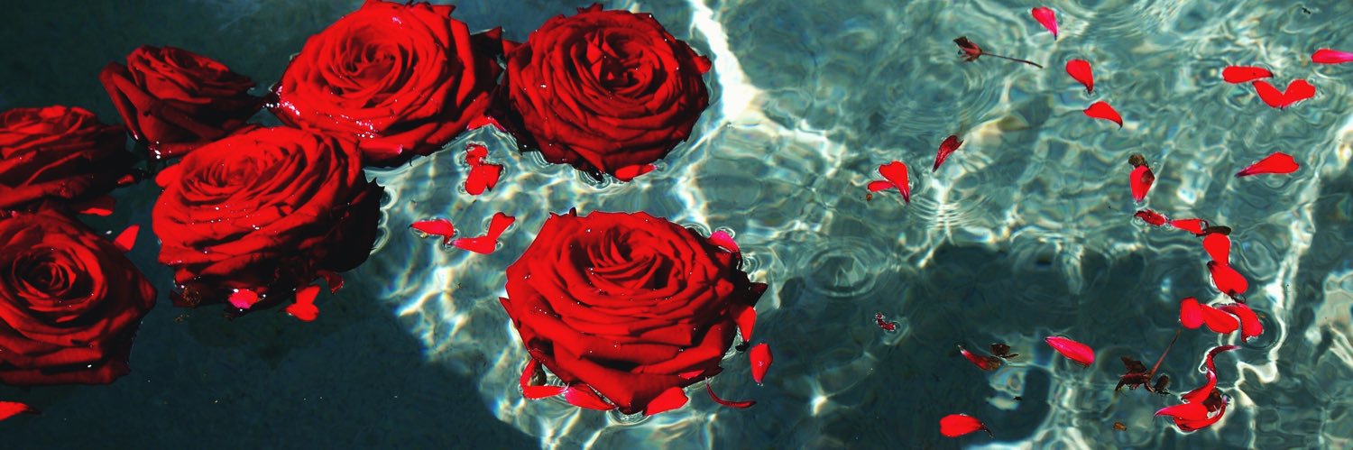 imogenthis's profile banner image