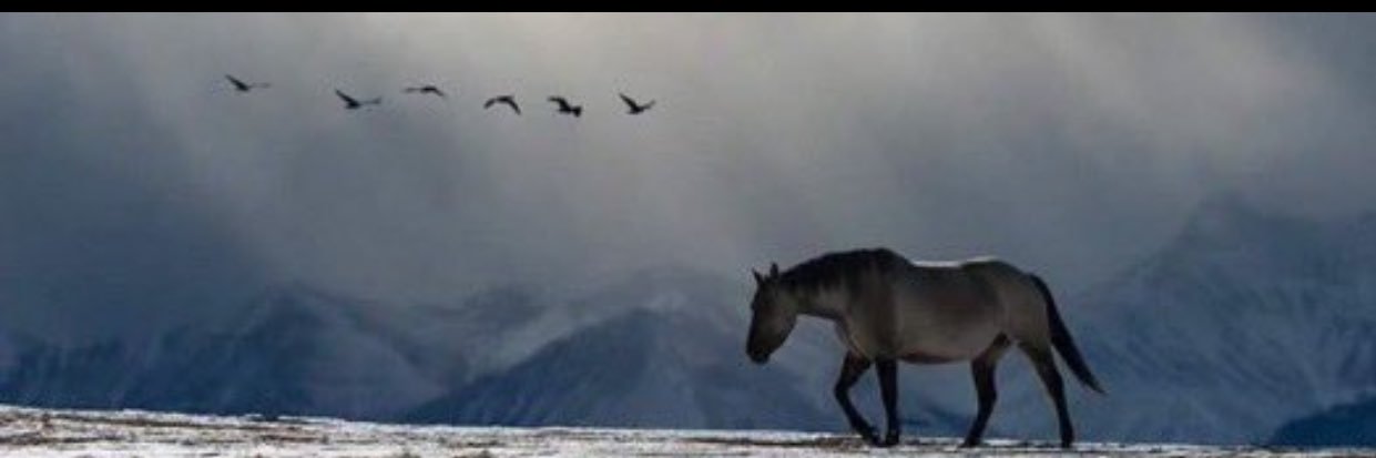 elemnesrahh's profile banner image