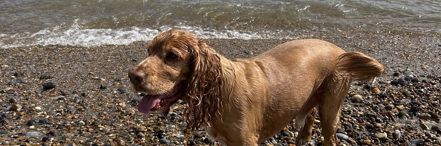 zoebrennan_'s profile banner image