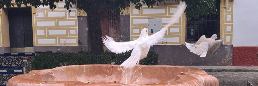 robert_thebest's profile banner image