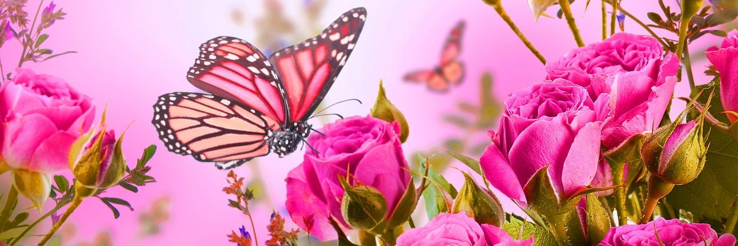 SuzanneAB75's profile banner image
