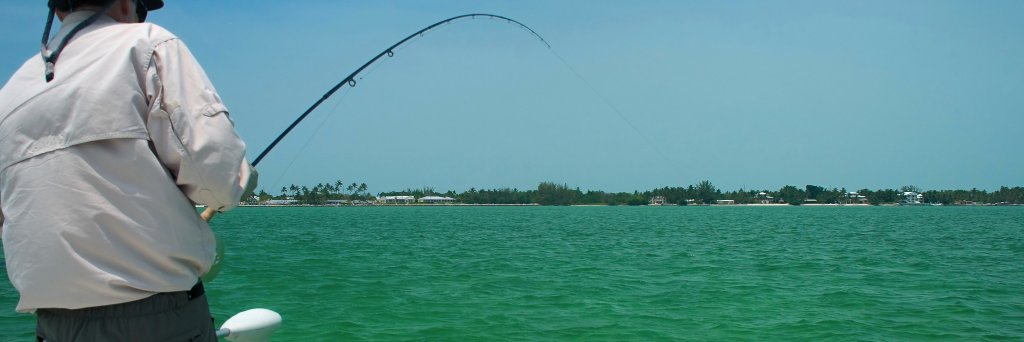 CyberAngler's profile banner image