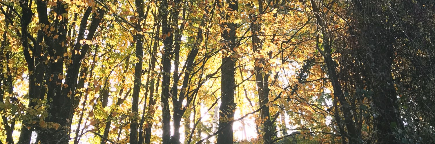 Claire Barry banner