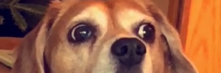 cameronjjames_'s profile banner image