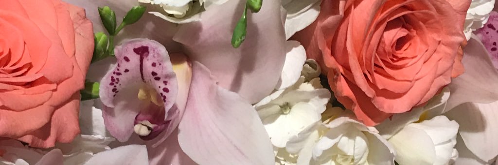 annab_robinson's profile banner image
