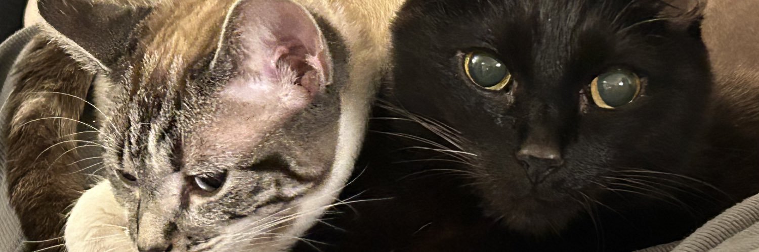 chuckeddy4KY's profile banner image