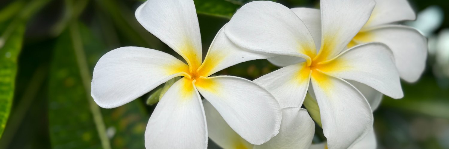 bensontek's profile banner image