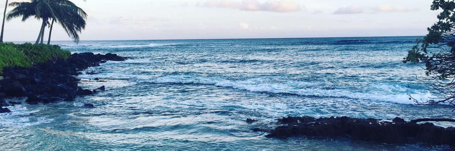 AmandaGreger's profile banner image