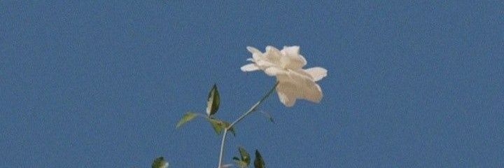 autorefleksje's profile banner image