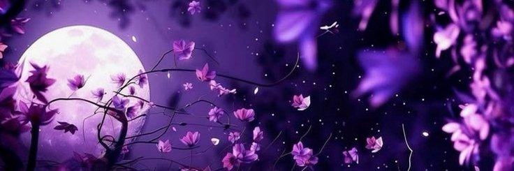 ElmoVonbey's profile banner image